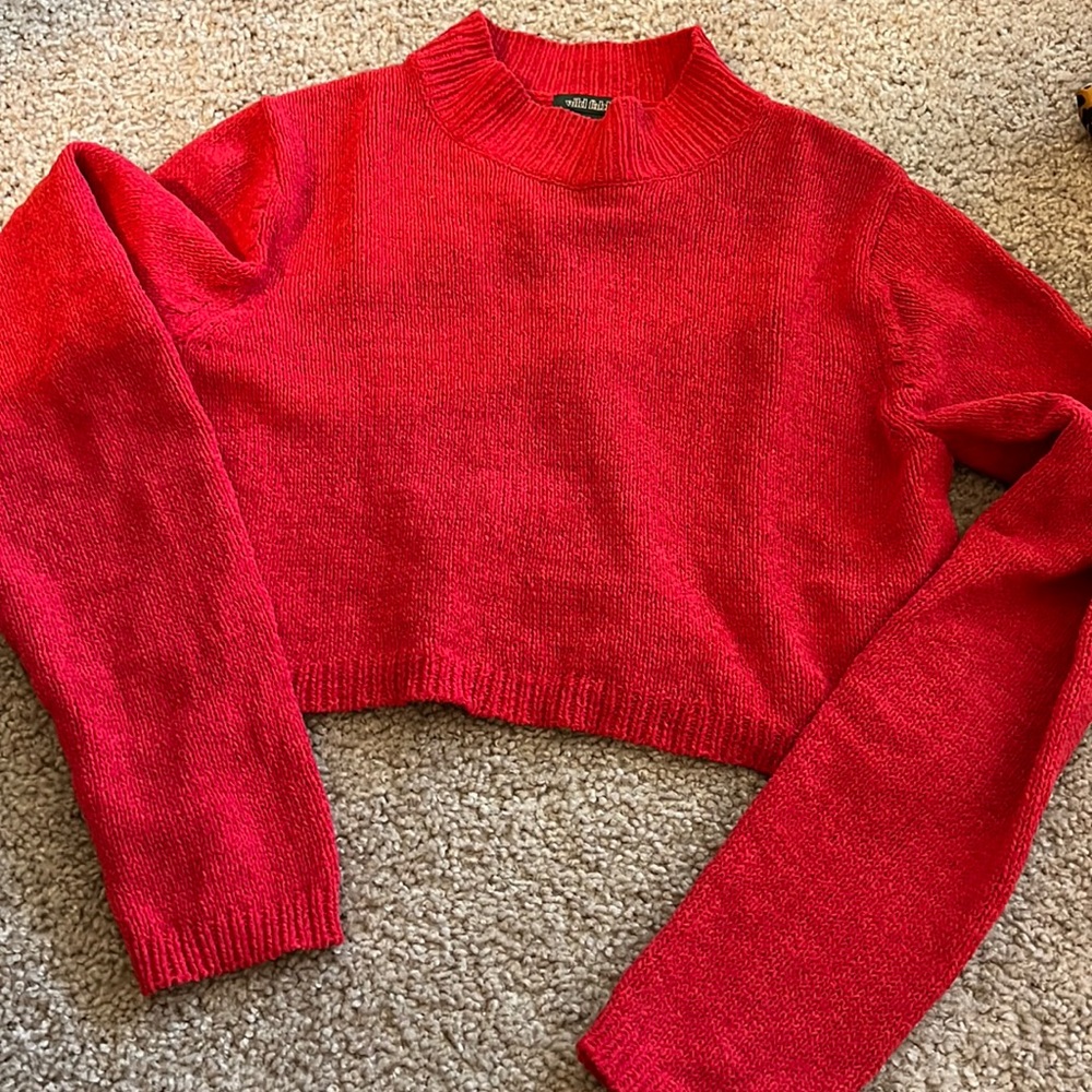 Wild Fable red cropped sweater